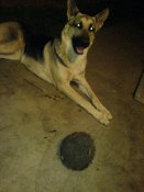 DSC00166.JPG