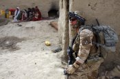 3para10.jpg
