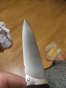 IMG_20211001_220828.jpg