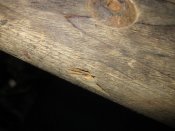 IMG_1963.JPG
