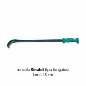RINALDI-133-RONCOLA-PER-FUNGHI.jpg