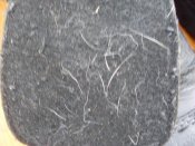 SDC15601.JPG