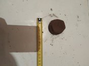 IMG_20211007_194705.jpg