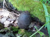 DSCN0148.JPG
