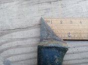 IMG_20211008_175120.jpg