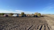 IMG_01.JPG