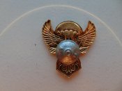 Знак на винте ВДВ РФ. Армия России