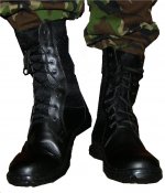 221.jpg
