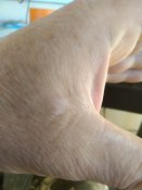 IMG_20211010_095715.jpg