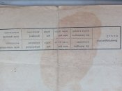Свидетельство об окончании школи. Лемберг.1942.