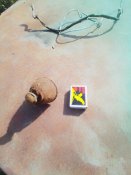 IMG_20211010_145302.jpg