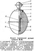 Без названия (1).jpg