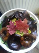 IMG_20211007_132621.jpg