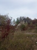 IMG_20211011_122738.jpg