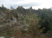 IMG_20211011_122653.jpg