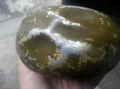20130605_154607.jpg