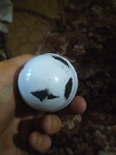 IMG_20211013_165927.jpg