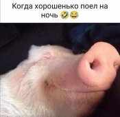 зображення_viber_2021-10-13_20-10-35-860.jpg