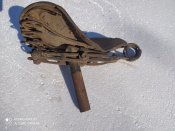 IMG_20211011_145910.jpg