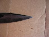 IMG_2158.jpg
