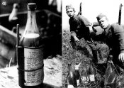 41inf10.JPG