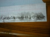 DSC02017.JPG