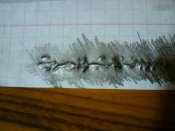 DSC02018.JPG