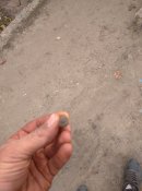 IMG_20211016_155028_1.jpg