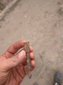 IMG_20211016_155026_1.jpg