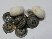 DSC07952.JPG