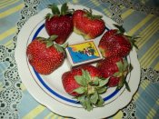 DSC01413.JPG