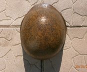 PA208978.JPG