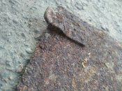 IMG_20211020_170724.jpg