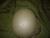 DSC08612.JPG