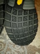 IMG_20211020_074734.jpg