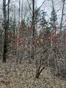 20211024_095145.jpg