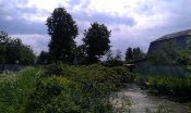 13.06.08_27.jpg