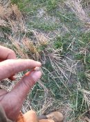IMG_20211027_170957_1.jpg