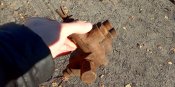 IMG_20211027_101725.jpg