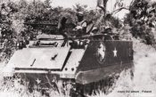 M-113 apc 9th White Horse Inf.Div. 2.jpg