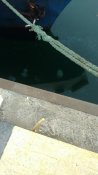 IMG_20211029_173929538.jpg
