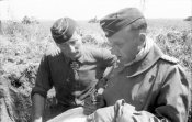Лето 1943 года.