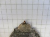 IMG_6399.JPG