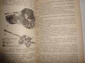 Инженерное обеспечение марша и встречного боя мотострелкового (танкового) батальона