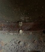 F56DC02E-0D67-4631-8E96-128C934B1D26.jpeg
