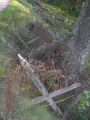 DSCN7052 1.jpg