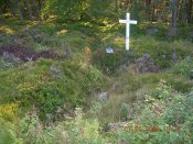 DSCN7063 1.jpg