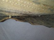 IMG_20211103_002324.jpg
