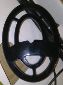 100620131708.jpg