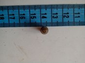 IMG_20130610_181845.jpg